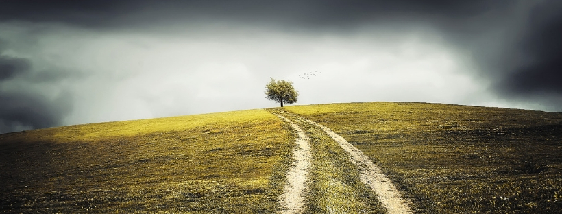 Lent Opportunities 2020