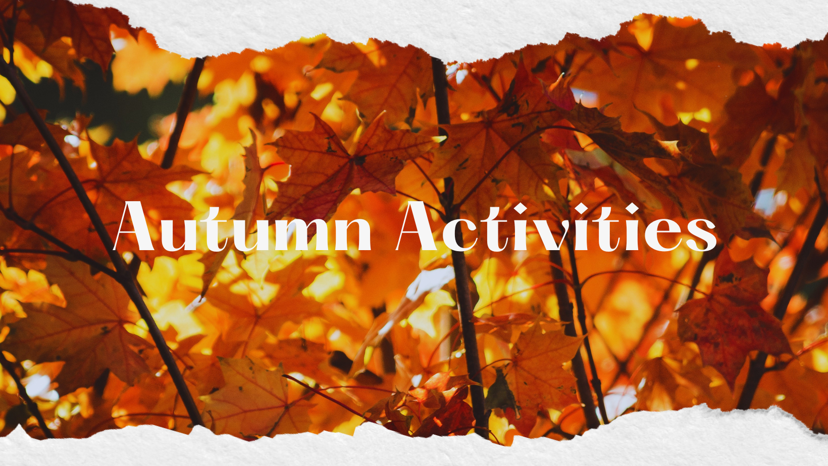 Autumn Activities at First Lutheran